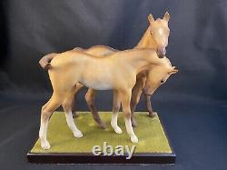 Cybis Horses 1969 Pair Darby And Joan Double Porcelain Colt Figurine W Stand