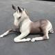 Cybis Porcelain Pinto Colt Horse Issued In 1972 And Retired In 1975