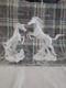 Edward D Hart Raging/ Battling Stallions By Franklin Mint