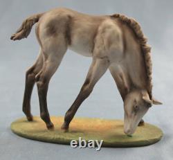 Foal horse porcelainfigurine figurine Kaiser perfect porcelain