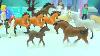 Full Horse Box