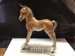 German Porcelain Rosenthal Animal Figurine Horse Foal