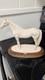 Giuseppe Armani Porcelain White Horse Figurine Italy