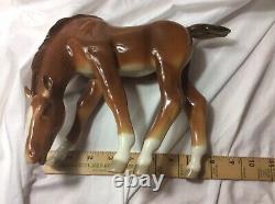 Grazing Brown Foal Horse Figurine by Russian Imperial Lomonosov Porcelain/signed