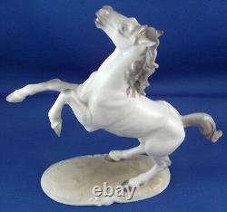 Great Nymphenburg Porcelain Horse Figure Figurine Porzellan Pferd Figur Stallion