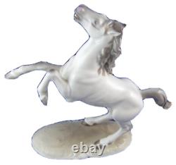 Great Nymphenburg Porcelain Horse Figure Figurine Porzellan Pferd Figur Stallion