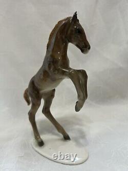 HUTSCHENREUTHER 1950's German Porcelain Statue Figurine Horse Colt Foal 6,5
