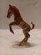 Hutschenreuther 1950's Germany Porcelain Statue Figurine Horse Colt Foal 6,5