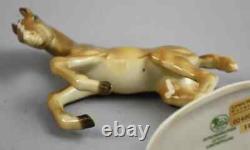 HUTSCHENREUTHER 1950's Germany Porcelain Statue Figurine Horse Colt Foal 6,5
