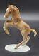 Hutschenreuther Porcelain Figurine Horse Colt Foal Germany 6.5