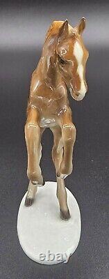 HUTSCHENREUTHER Porcelain Figurine Horse Colt Foal Germany 6.5