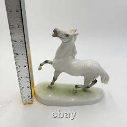 Herend Hungary Porcelain Figurine Stallion 7in Horse Lipizzaner C 1939