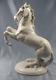 Horse Figure Horse Cheval Porcelain Figurine Schierholz Plaue 1935