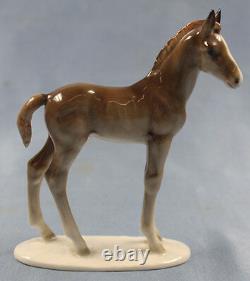 Horse Figure Horse Porcelain Figurine Hutschenreuther Foal 1970 Br