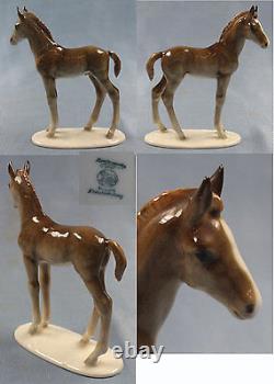 Horse Figure Horse Porcelain Figurine Hutschenreuther Foal 1970 Br