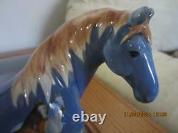 Horse Of A Different Color High Desert Family