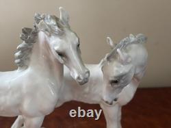 Horse Porcelain Hutschenreuther figurine The Foals by Karl Tutter