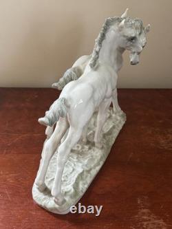 Horse Porcelain Hutschenreuther figurine The Foals by Karl Tutter