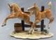 Horses Horse Porcelain Hutschenreuther Porcelain Figurine Haflinger Foal Figure