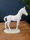 Hutschenreuther Porcelain Standing Horse/colt/filly Figurine