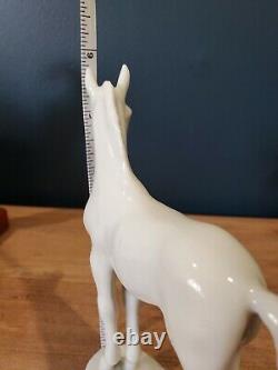 Hutschenreuther Porcelain Standing Horse/colt/filly Figurine