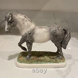 IRISH DRESDEN Mz HORSE Connemara Pony PORCELAIN CERAMIC Ireland Vintage Rare