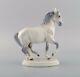 Jeanne Grut For Royal Copenhagen. Rare Porcelain Figure. Lippizan Horse