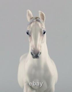 Jeanne Grut for Royal Copenhagen. Rare porcelain figure. Lippizan horse