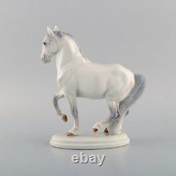 Jeanne Grut for Royal Copenhagen. Rare porcelain figure. Lippizan horse