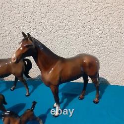 Job Lot Of 7 Beswick Collectable Horses with Foals High Gloss Finish