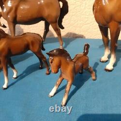 Job Lot Of 7 Beswick Collectable Horses with Foals High Gloss Finish