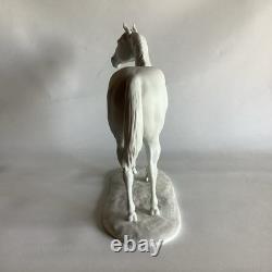 Kaiser Germany Bisque Porcelain Standing Horse Limited Edition Figurine 646