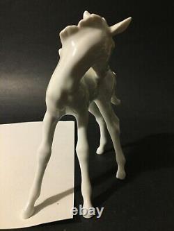 Kaiser W. Germany White Porcelain Figure FOAL Horse designed by G. Bochmann
