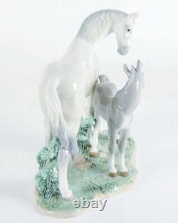 LLADRO Art Porcelain First Steps On The Prairie Horse Foal Figurine #6873 BOX
