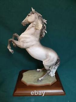 Large Kaiser Porcelain Horse Figurine Signed Limited Edition Wooden Base