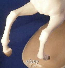 Large Nymphenburg Porcelain Horse Figure Figurine Porzellan Pferd Figur Stallion