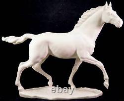 Large Porcelain Bisque Hutschenreuther Figurine Horse Jazda C. Werner