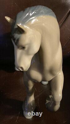 Lladro 14862 Horse Retired! Mint Condition! No Box! Glossy Finish! Rare