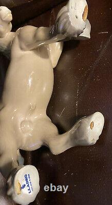 Lladro 14862 Horse Retired! Mint Condition! No Box! Glossy Finish! Rare