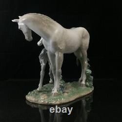 Lladro First Steps On The Prairie Porcelain Figurine Horse Mare Foal #6873, MINT