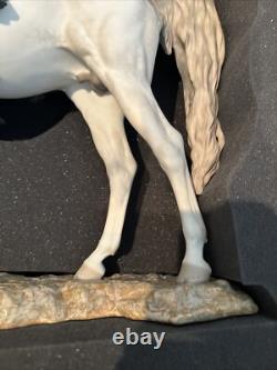 Lladro Porcelain Arabian Pure Breed Horse (Limited Edition 200) 01011920