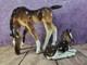 Lomonosov Vintage Imperial Porcelain Brown Grazing Foal & Resting Foal