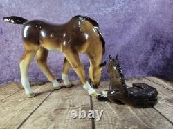 Lomonosov Vintage Imperial Porcelain Brown Grazing Foal & Resting Foal