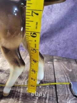 Lomonosov Vintage Imperial Porcelain Brown Grazing Foal & Resting Foal