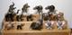Lot 22 Vintage Disc Hagen Renaker Mini Circus Elephants Dw & More Elephants