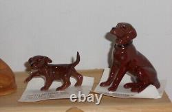 Lot 5 Vintage Disc Hagen Renaker Mini Dogs Golden Retriever Labrador Adult Pups