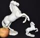 Lot. Hutschenreuther Porcelain Horse Figurines. Large One-11inch Tall