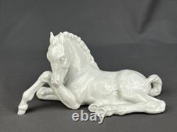 Meissen Blanc De Chine Porcelain Lying Foal Horse #A1195 9 Figurine c. 1937