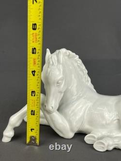 Meissen Blanc De Chine Porcelain Lying Foal Horse #A1195 9 Figurine c. 1937