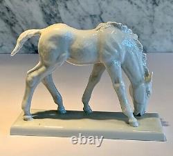 Meissen Blanc de Chine Grazing Horse 78714 Munch Khe c. 1930